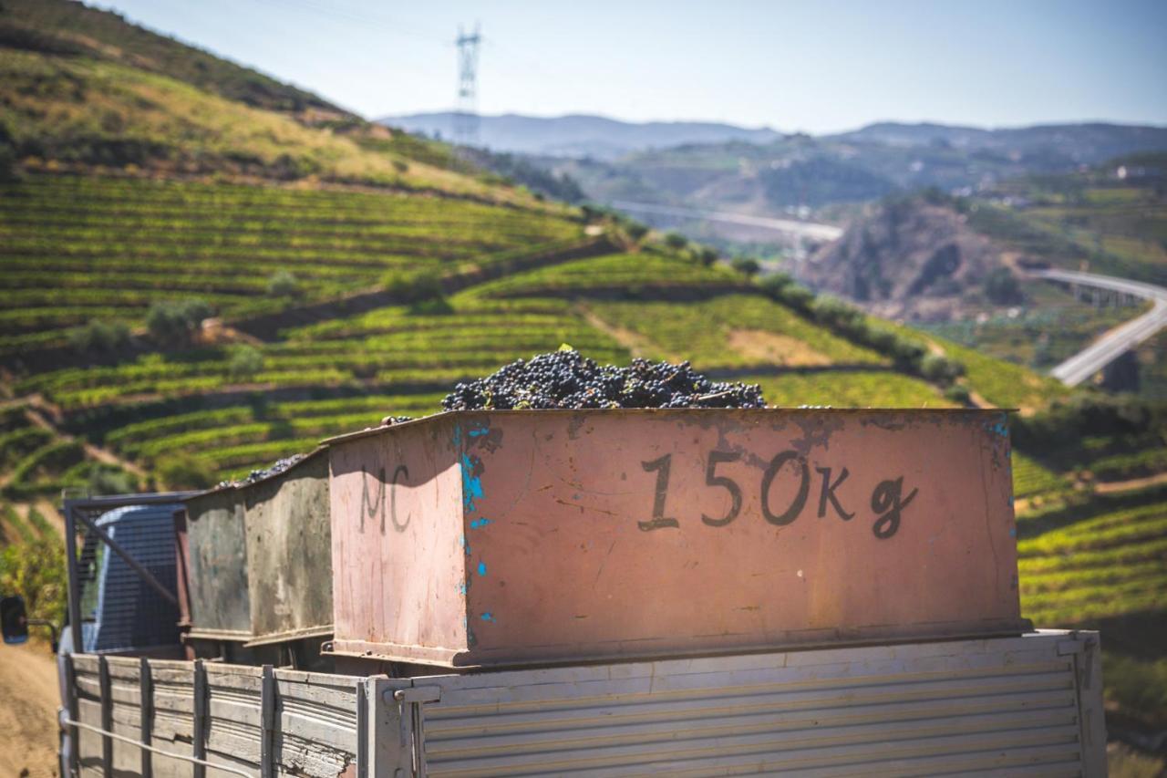 Maison d'hôtes Quinta Do Valdalagea à Peso da Régua Extérieur photo