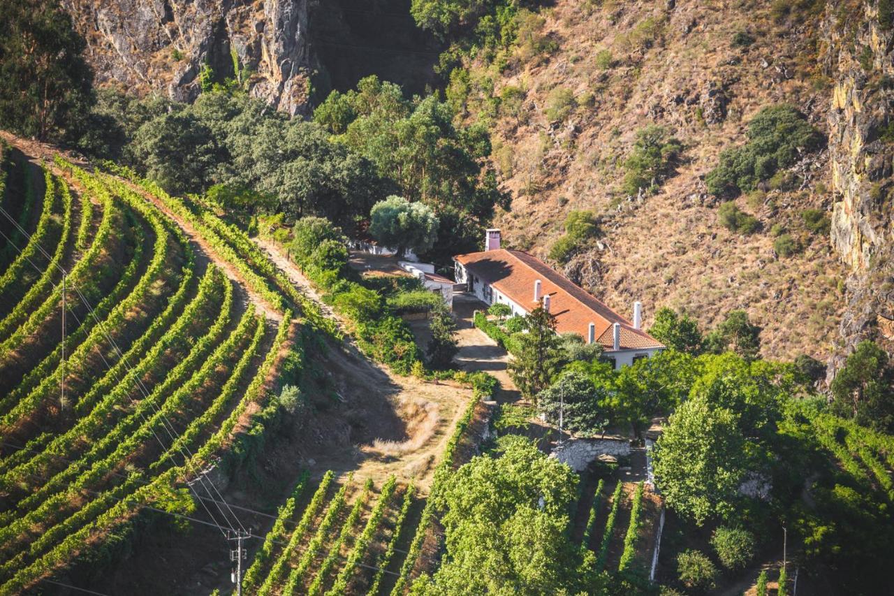 Maison d'hôtes Quinta Do Valdalagea à Peso da Régua Extérieur photo