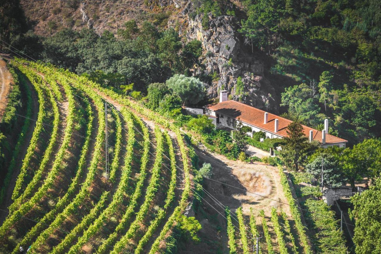 Maison d'hôtes Quinta Do Valdalagea à Peso da Régua Extérieur photo