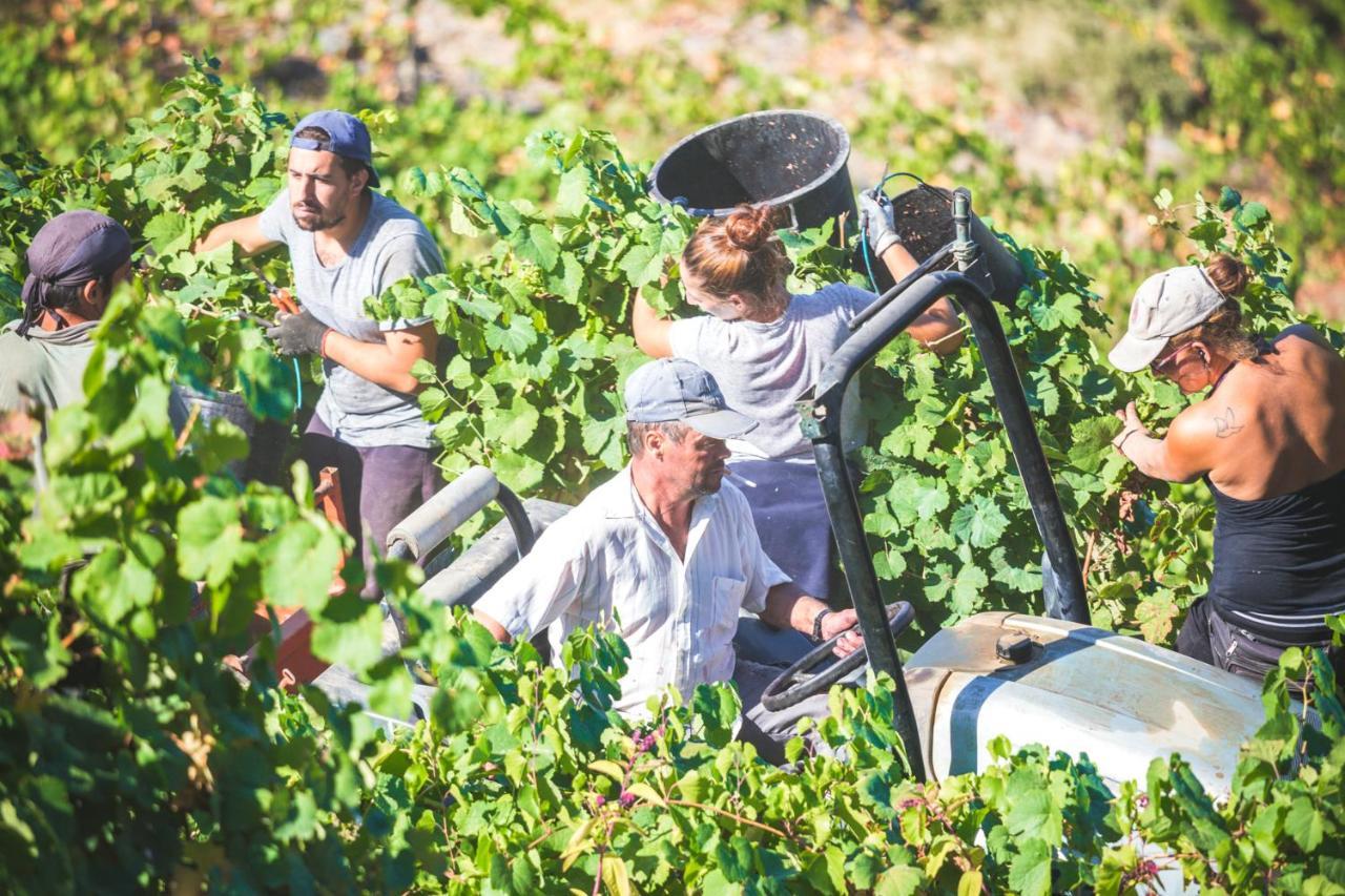 Maison d'hôtes Quinta Do Valdalagea à Peso da Régua Extérieur photo