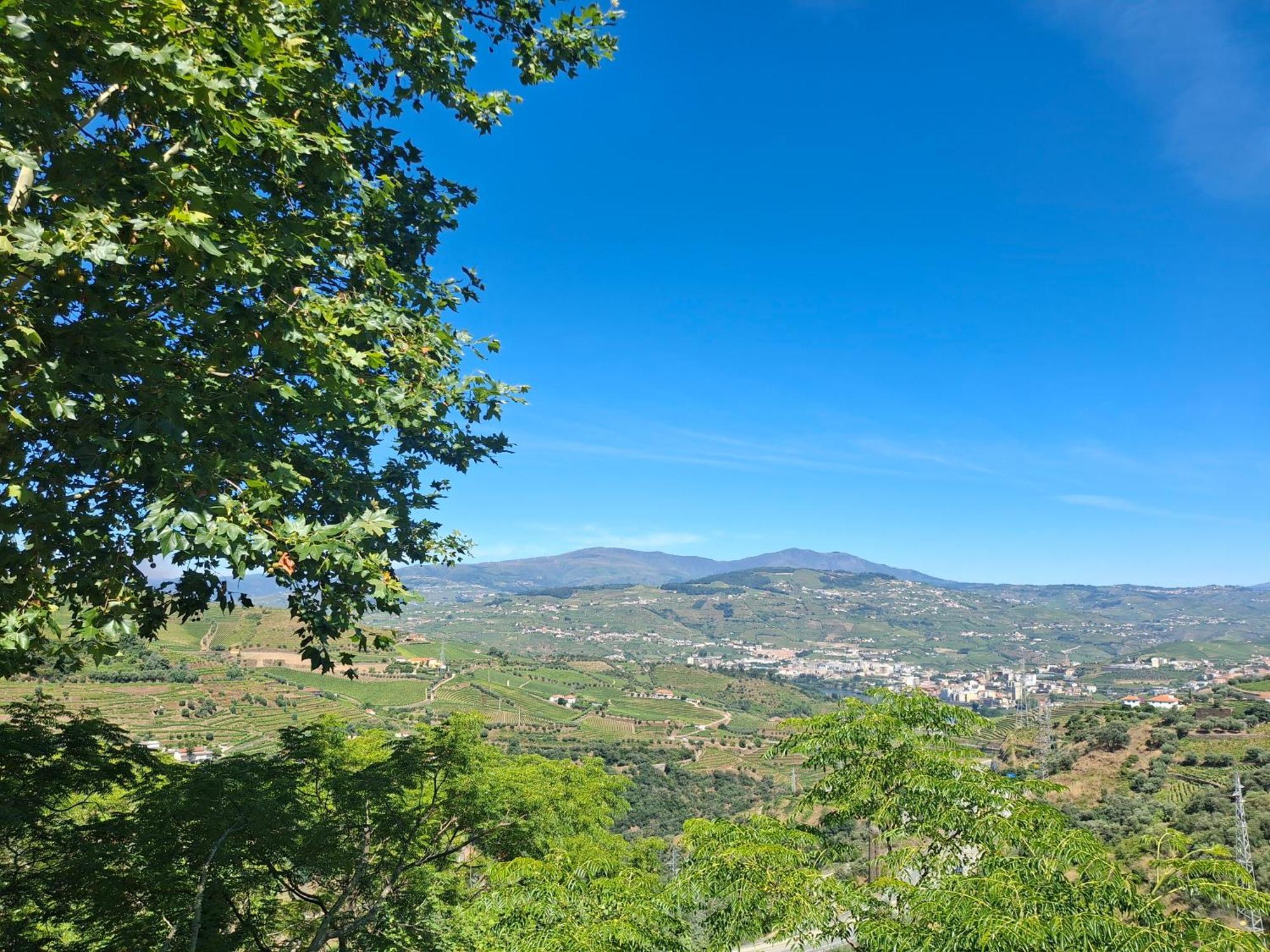 Maison d'hôtes Quinta Do Valdalagea à Peso da Régua Extérieur photo