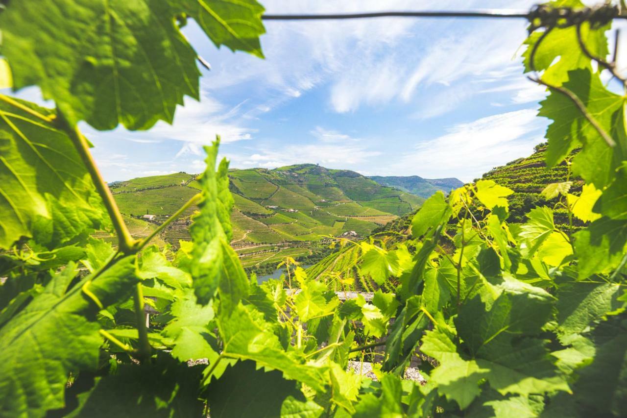 Maison d'hôtes Quinta Do Valdalagea à Peso da Régua Extérieur photo