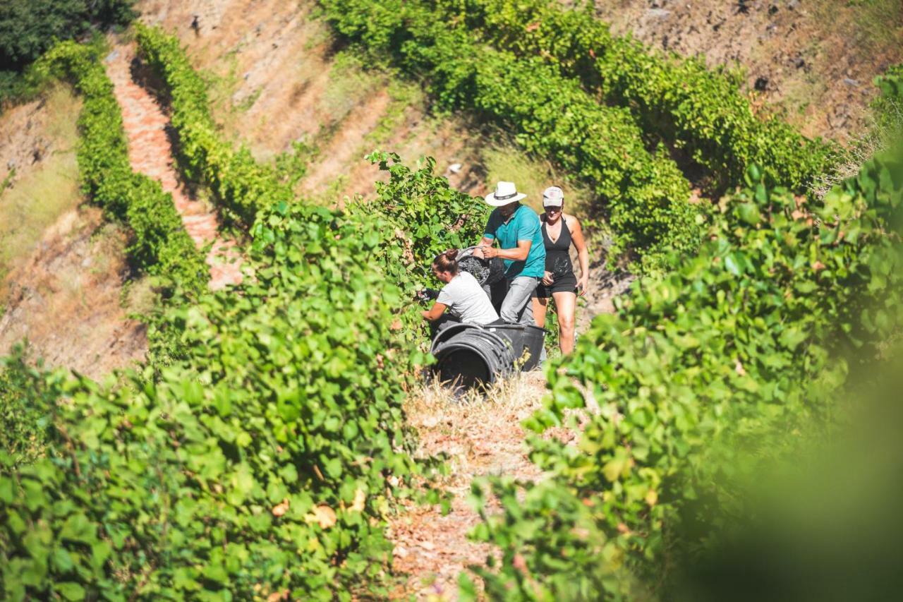 Maison d'hôtes Quinta Do Valdalagea à Peso da Régua Extérieur photo