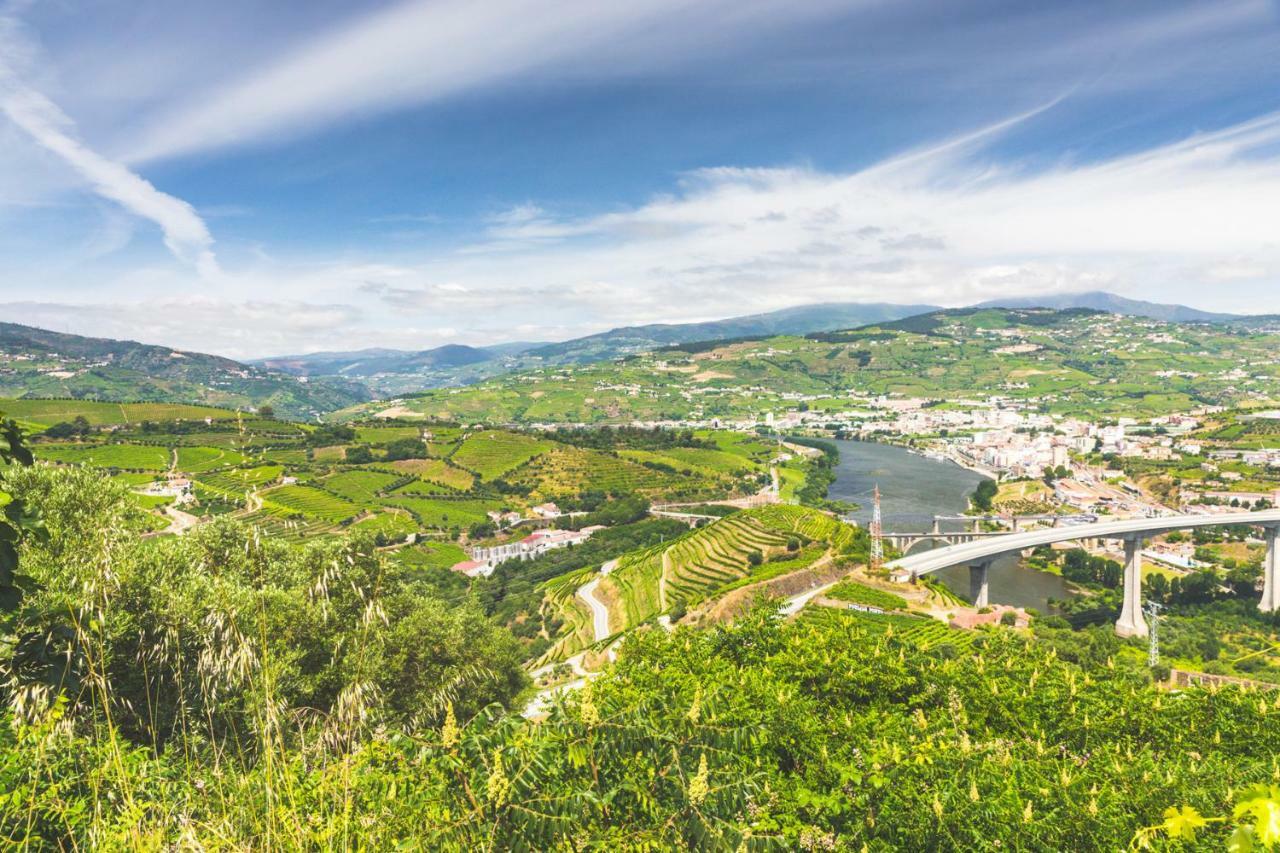 Maison d'hôtes Quinta Do Valdalagea à Peso da Régua Extérieur photo