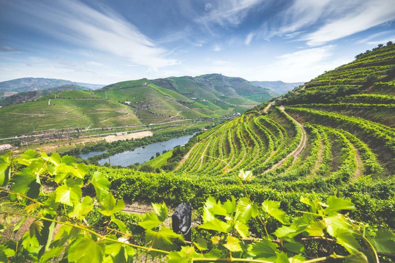 Maison d'hôtes Quinta Do Valdalagea à Peso da Régua Extérieur photo