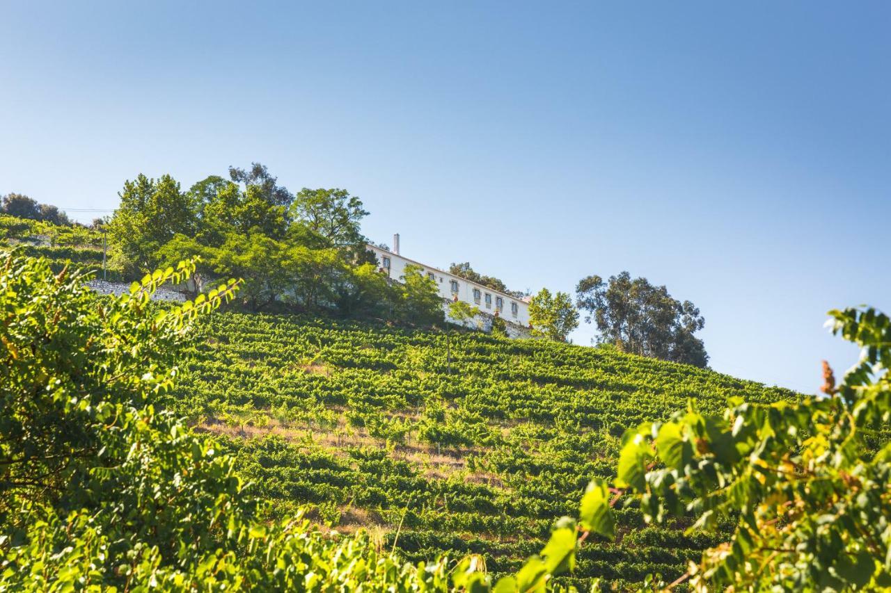 Maison d'hôtes Quinta Do Valdalagea à Peso da Régua Extérieur photo