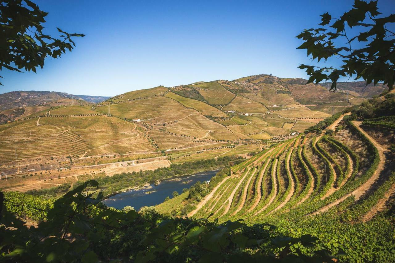 Maison d'hôtes Quinta Do Valdalagea à Peso da Régua Extérieur photo