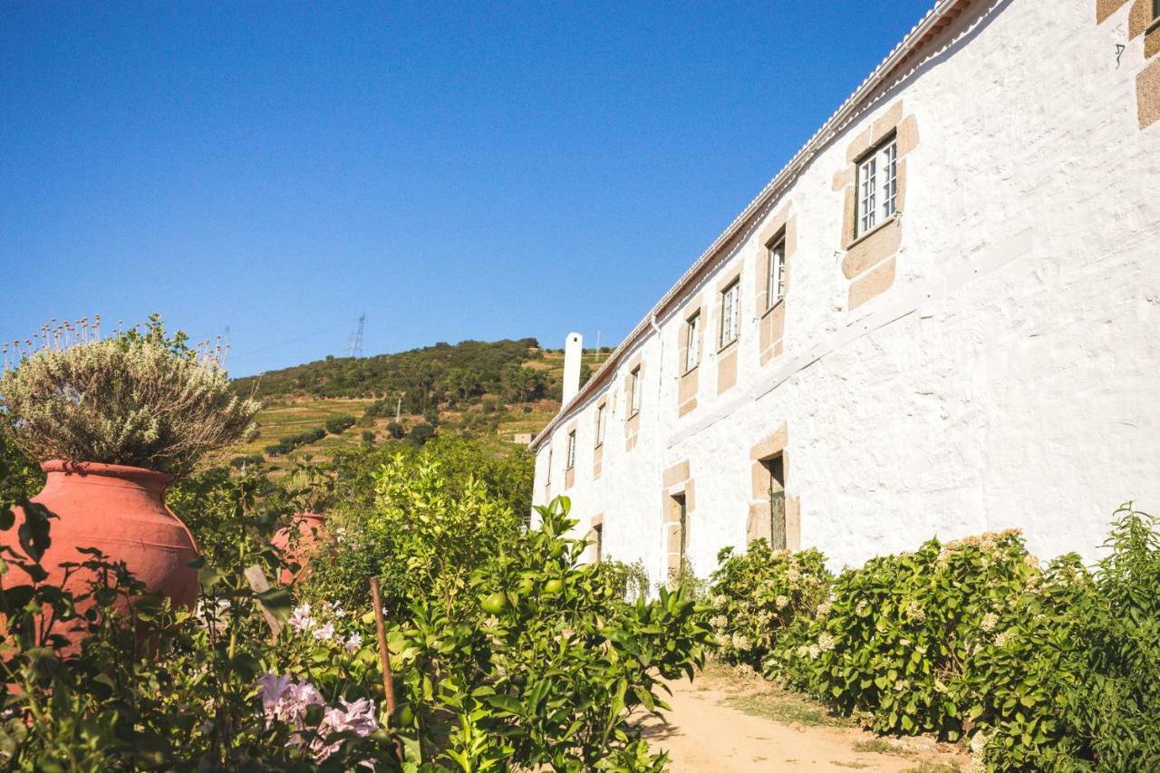 Maison d'hôtes Quinta Do Valdalagea à Peso da Régua Extérieur photo