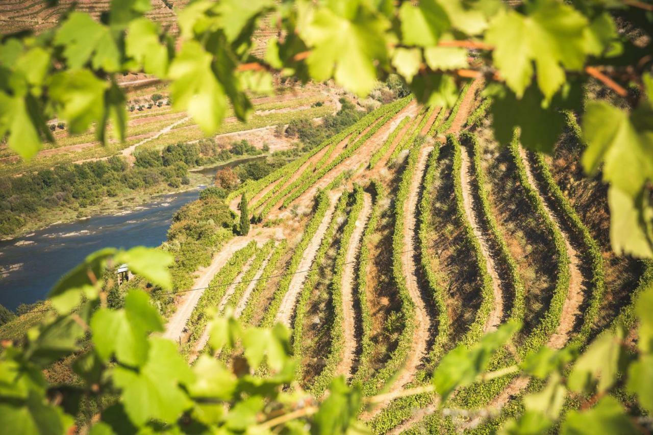 Maison d'hôtes Quinta Do Valdalagea à Peso da Régua Extérieur photo